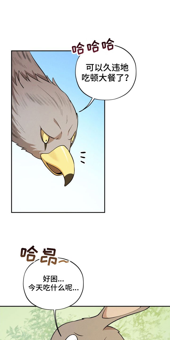 第1章：兔子救狼