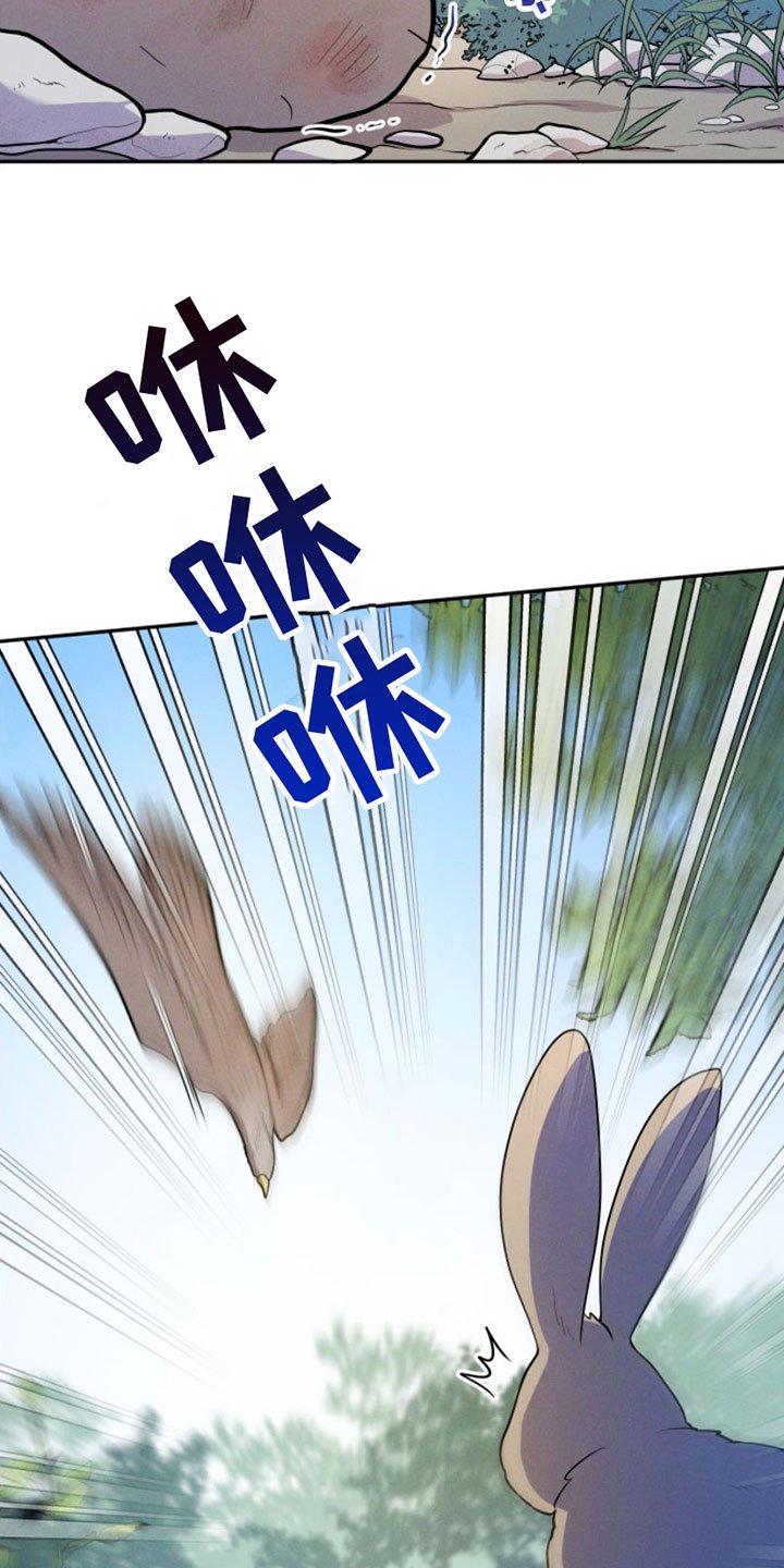 第1章：兔子救狼