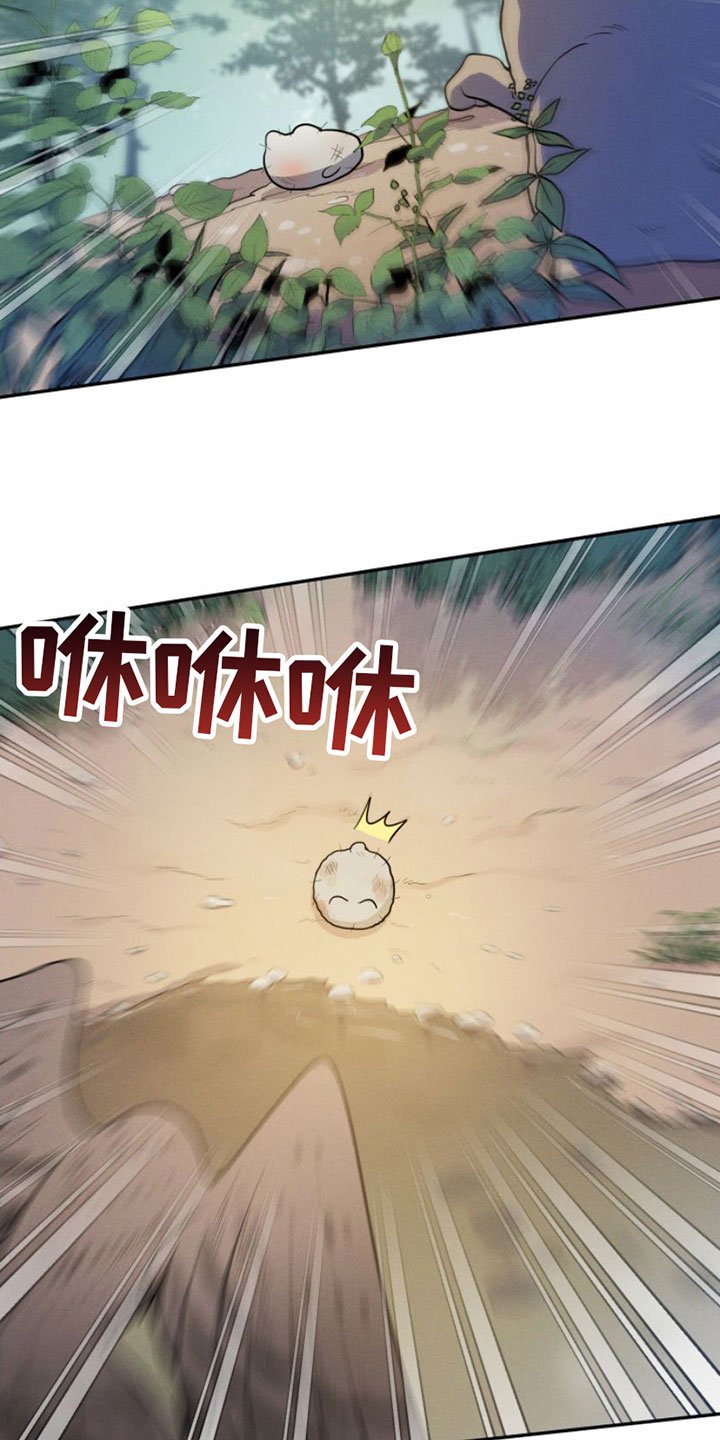 第1章：兔子救狼