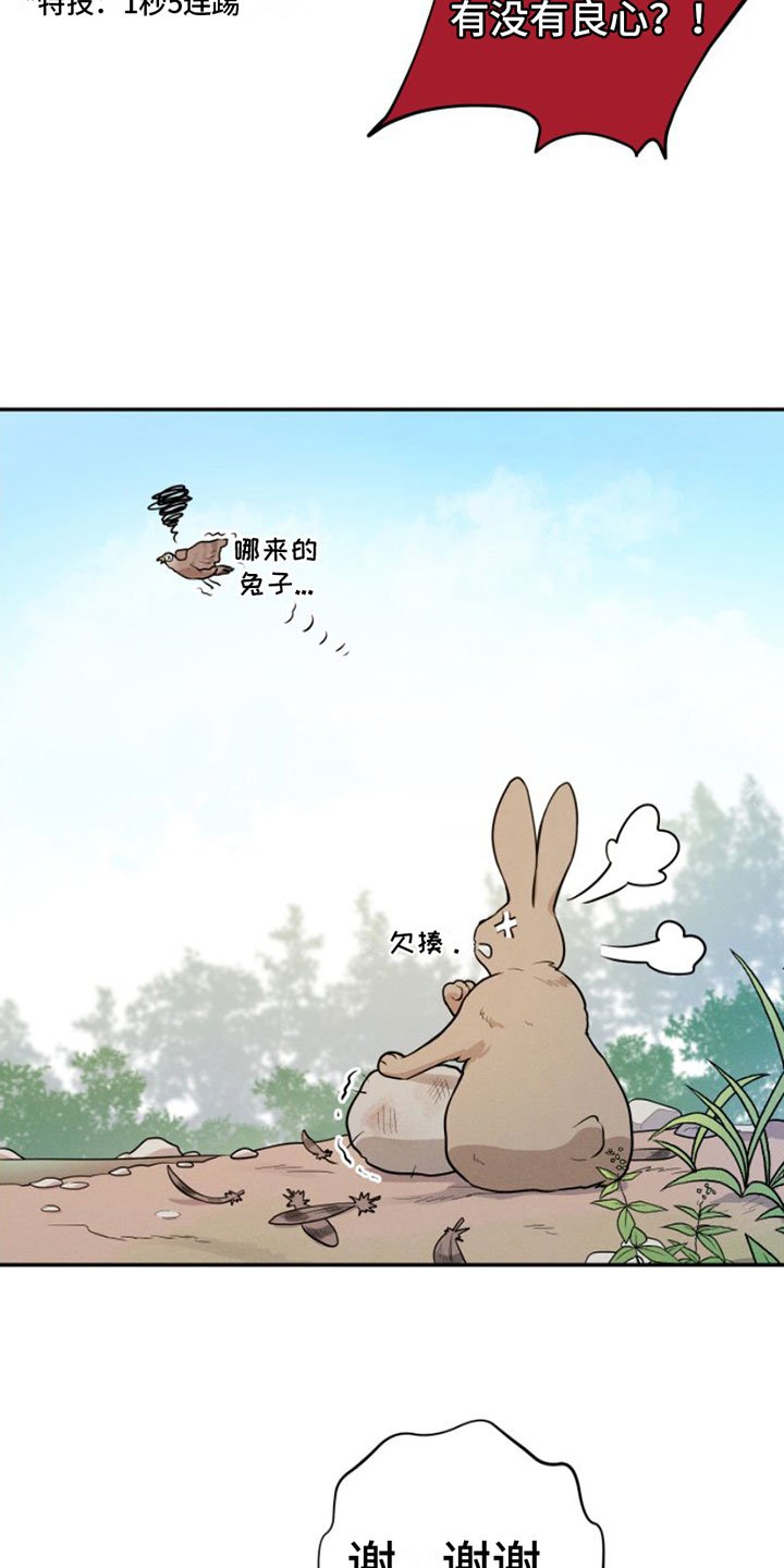 第1章：兔子救狼
