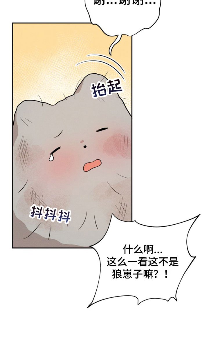 第1章：兔子救狼