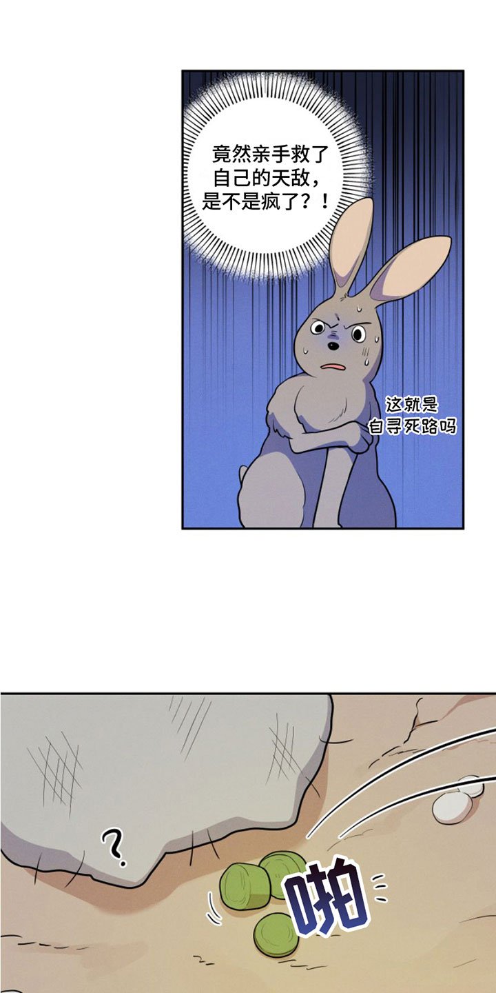 第1章：兔子救狼