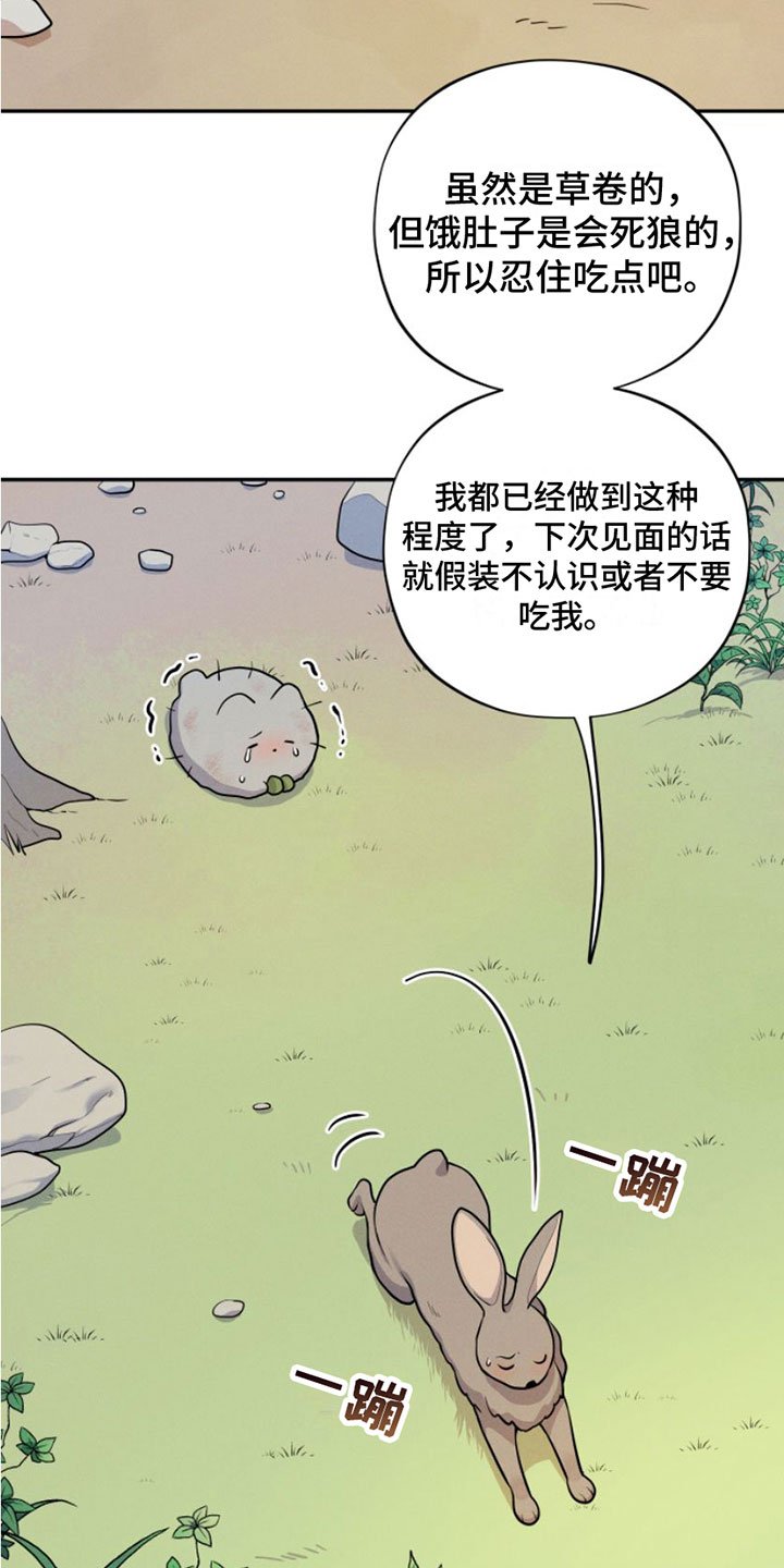 第1章：兔子救狼