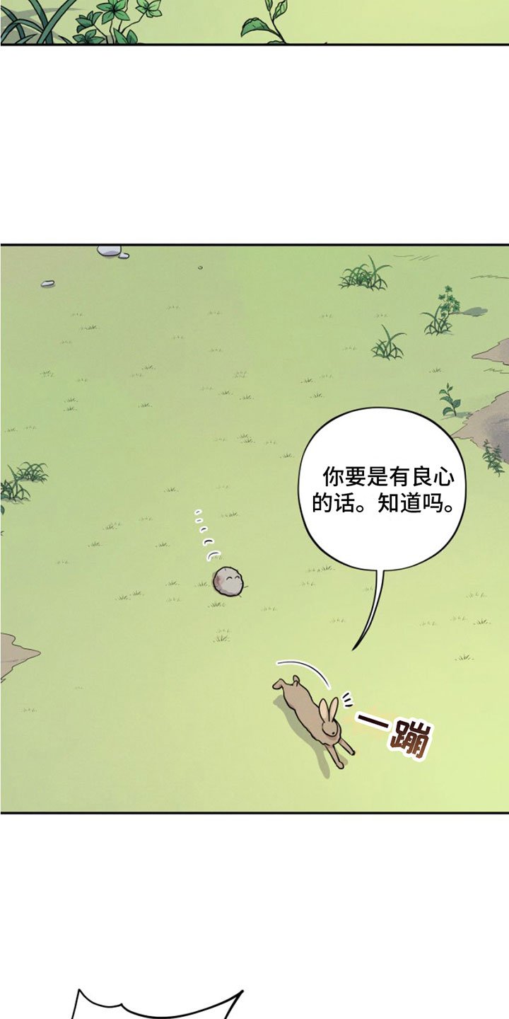 第1章：兔子救狼