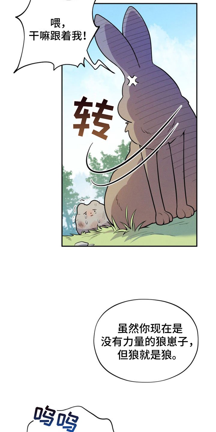 第1章：兔子救狼