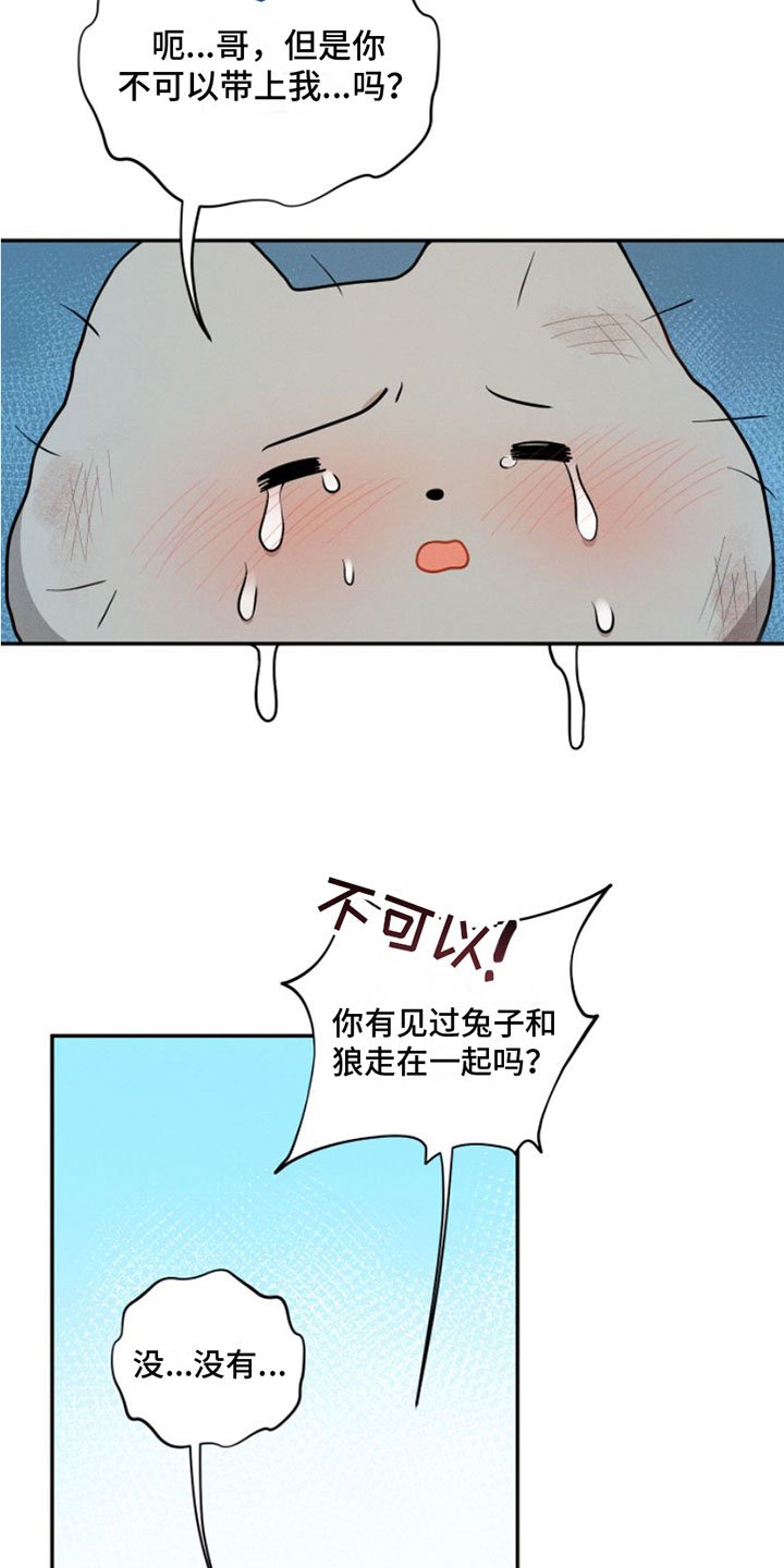 第1章：兔子救狼