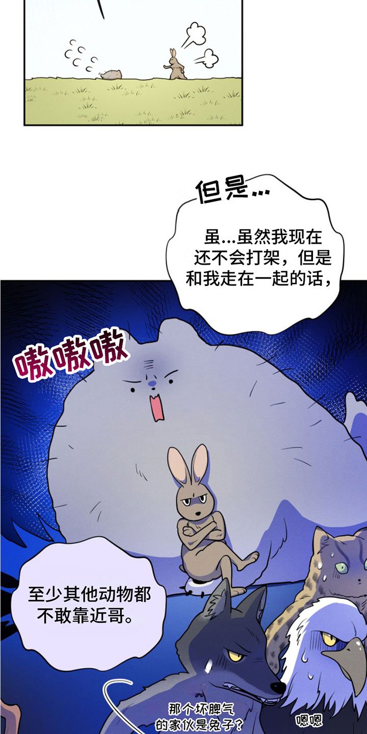 第1章：兔子救狼