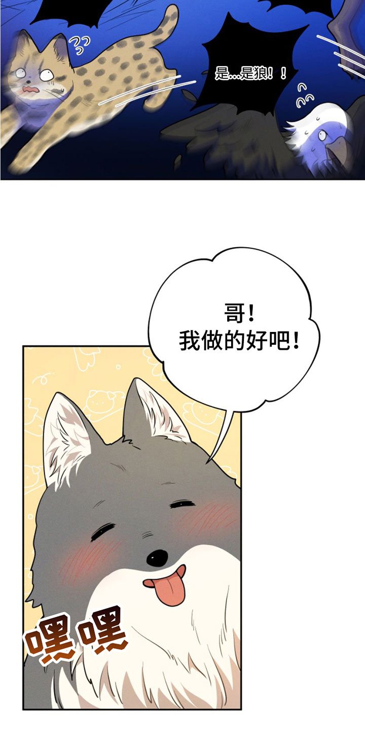 第1章：兔子救狼