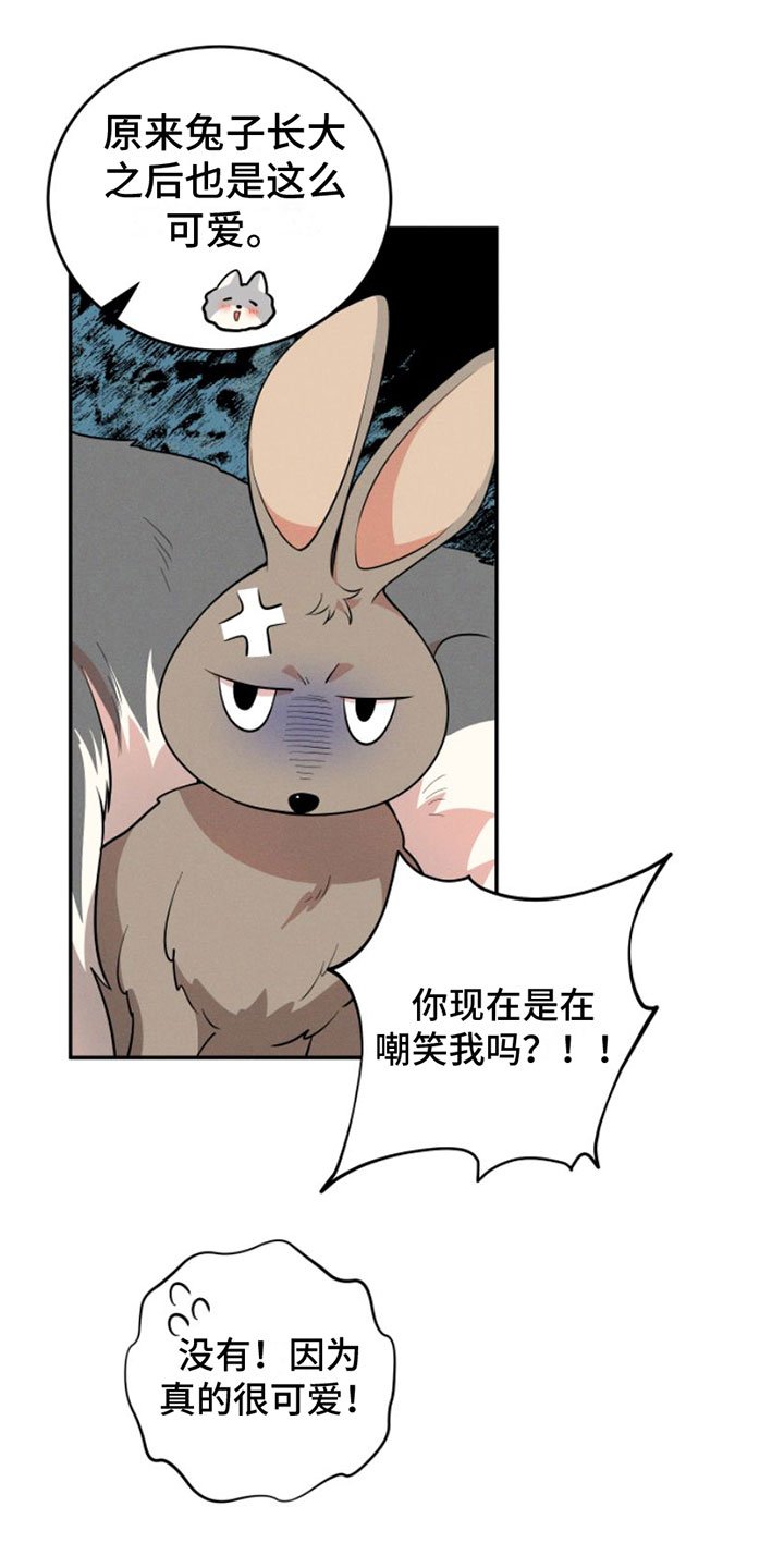 第1章：兔子救狼