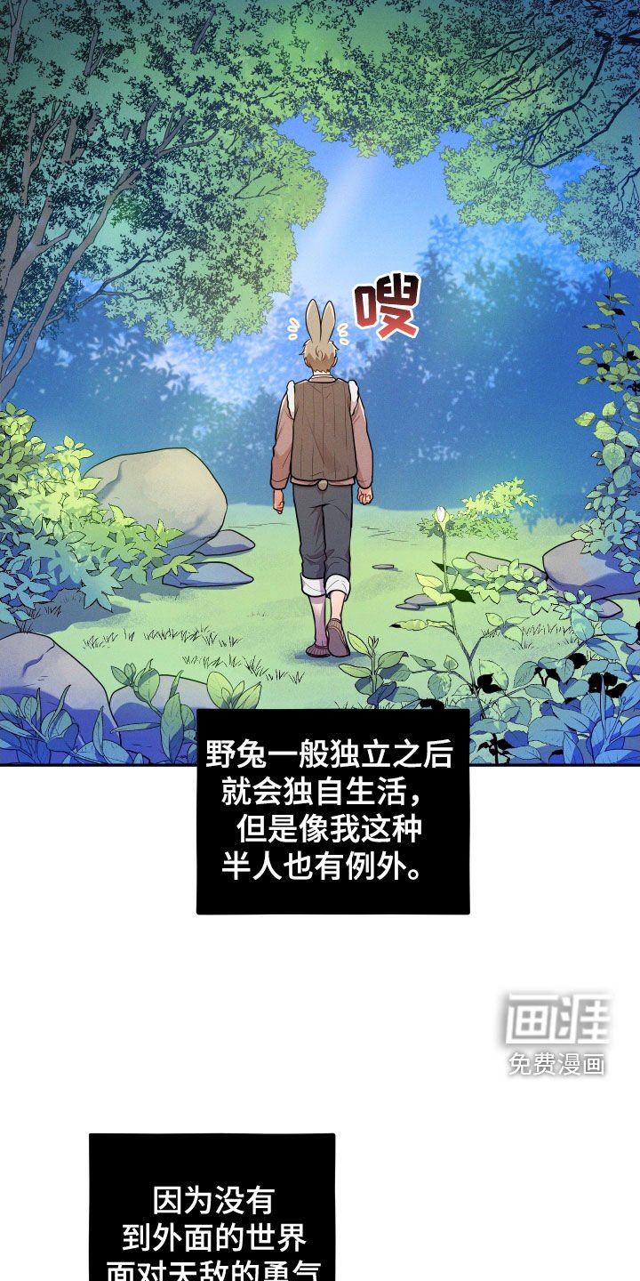 第10章：【番外】故乡