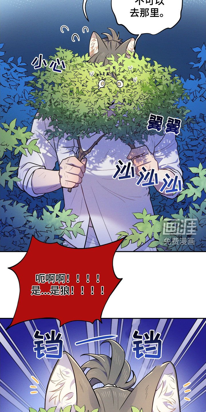 第10章：【番外】故乡