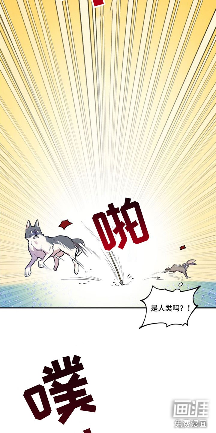 第4章：我是哥的