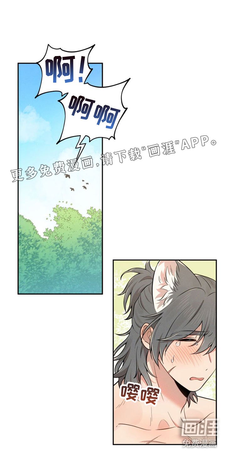 第5章：回山里去