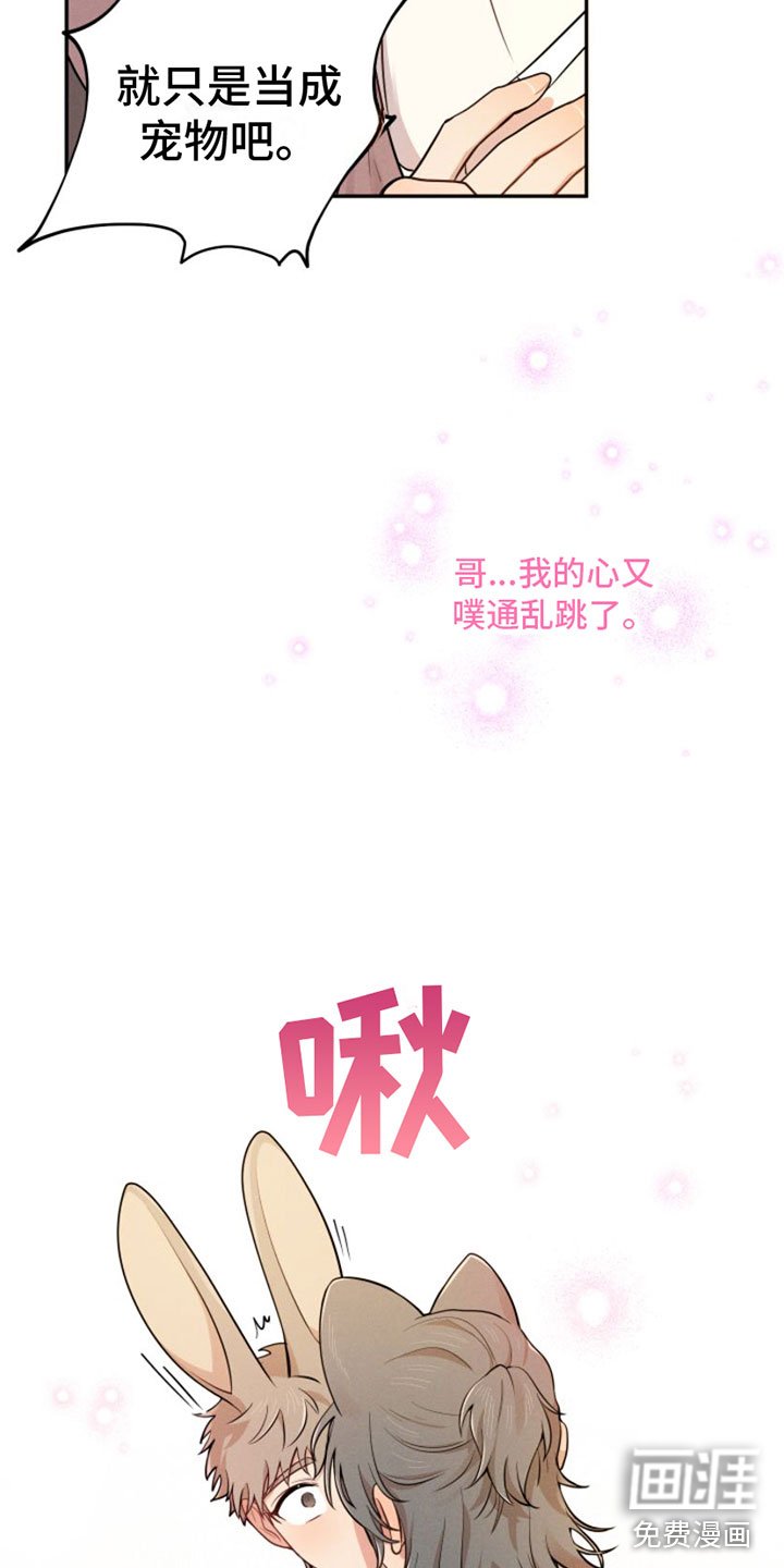第5章：回山里去