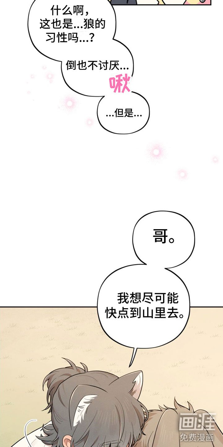 第5章：回山里去