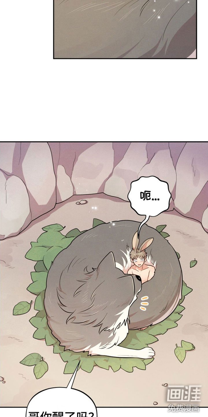 第8章：抹药