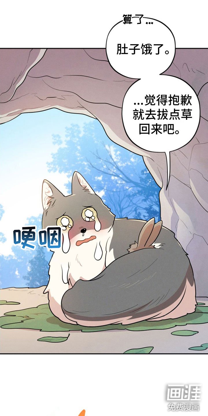 第8章：抹药