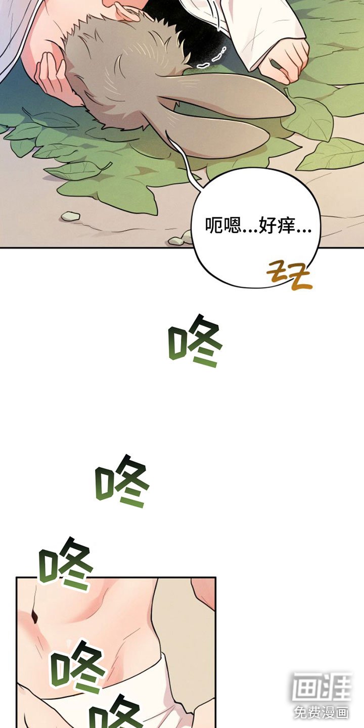 第8章：抹药