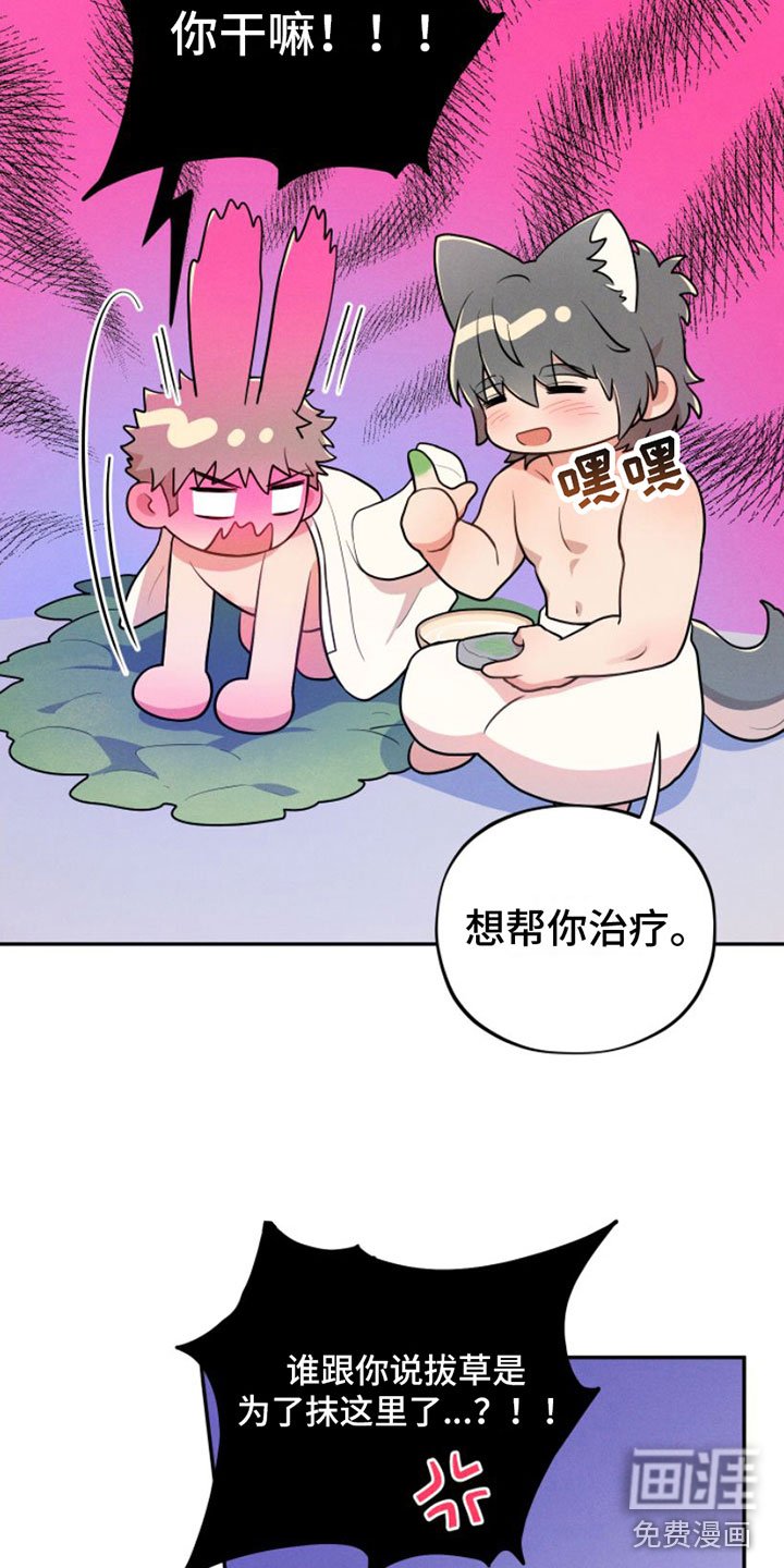 第8章：抹药