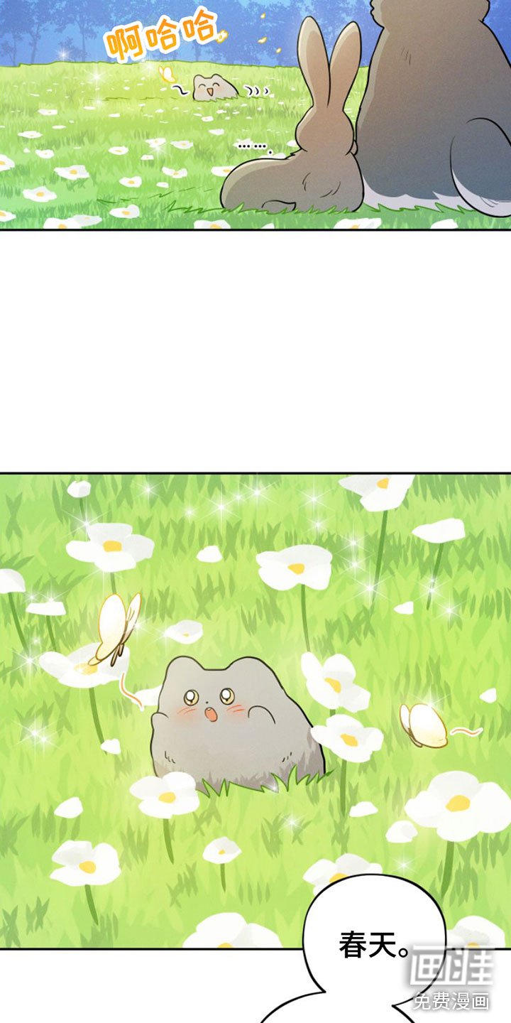 第9章：春天【完】