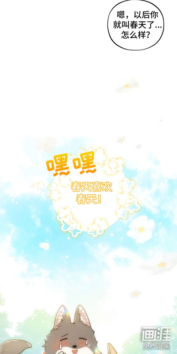 第9章：春天【完】