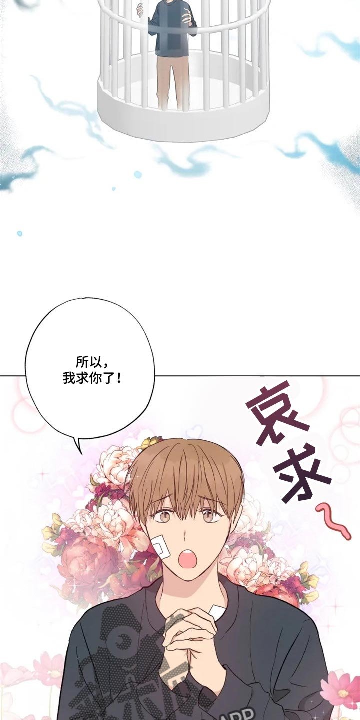 第18章：答应