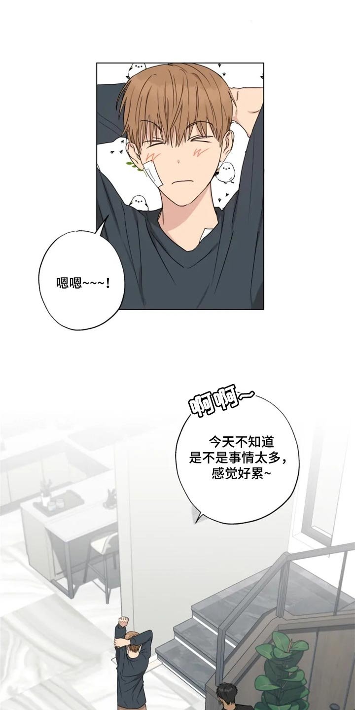 第19章：信息材料