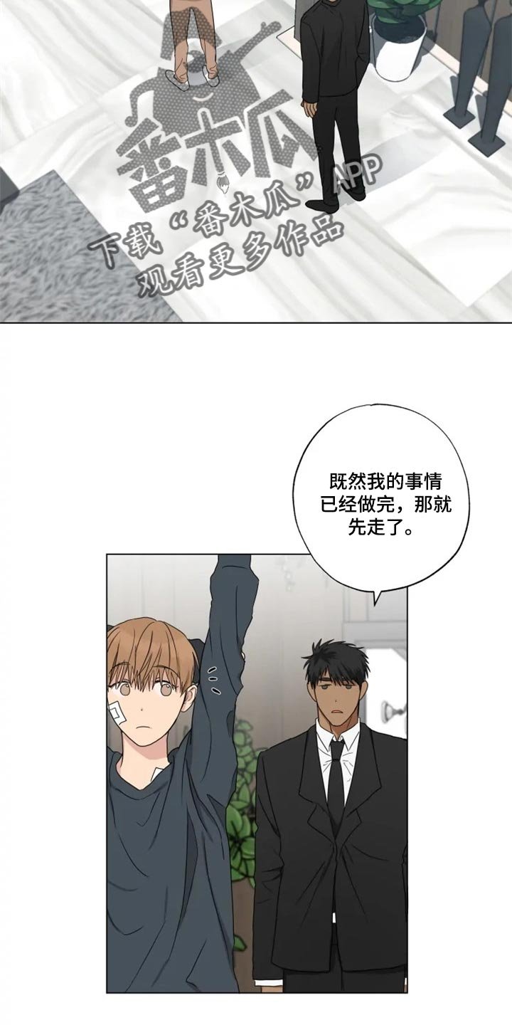 第19章：信息材料