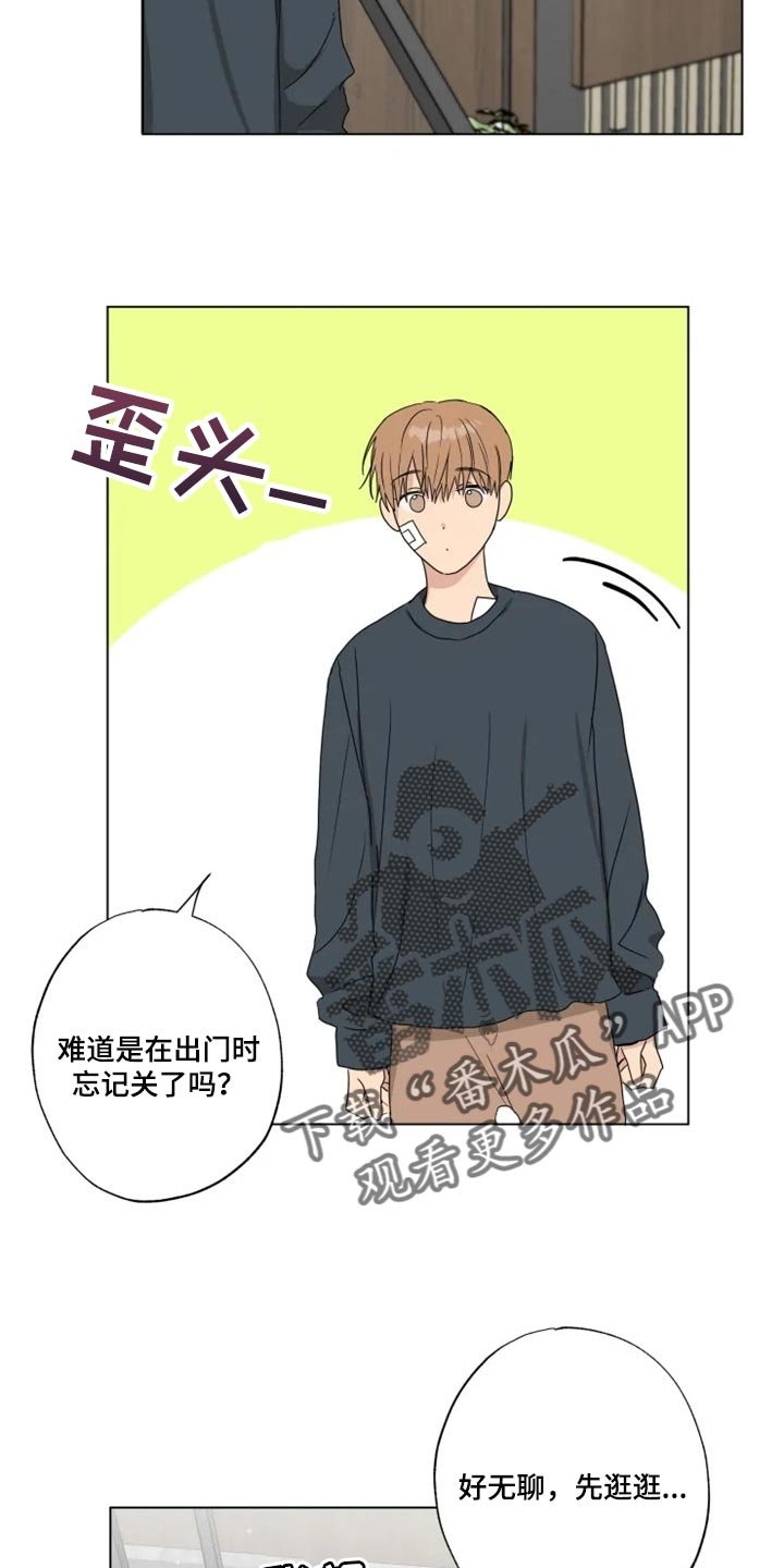 第19章：信息材料