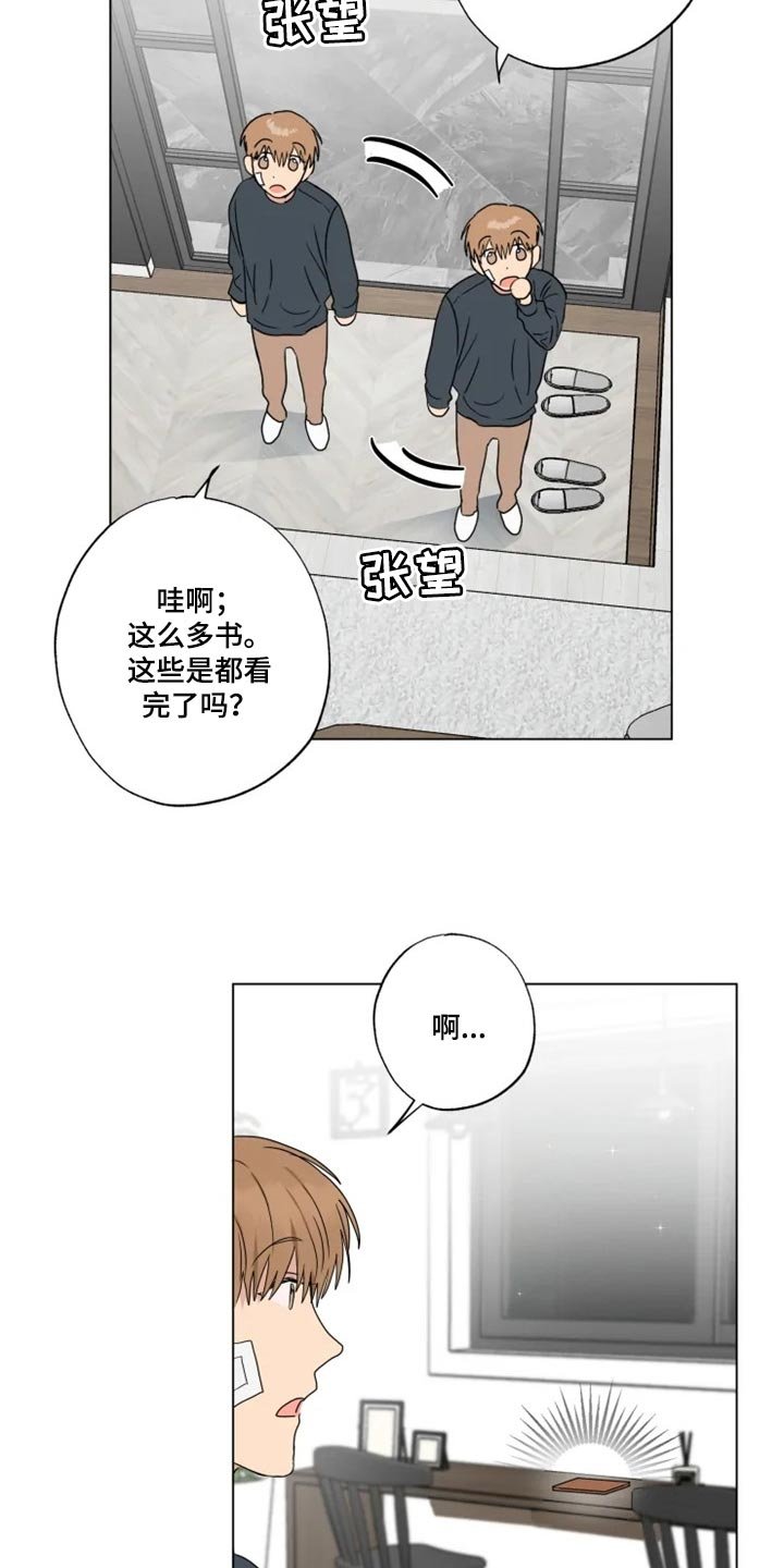 第19章：信息材料