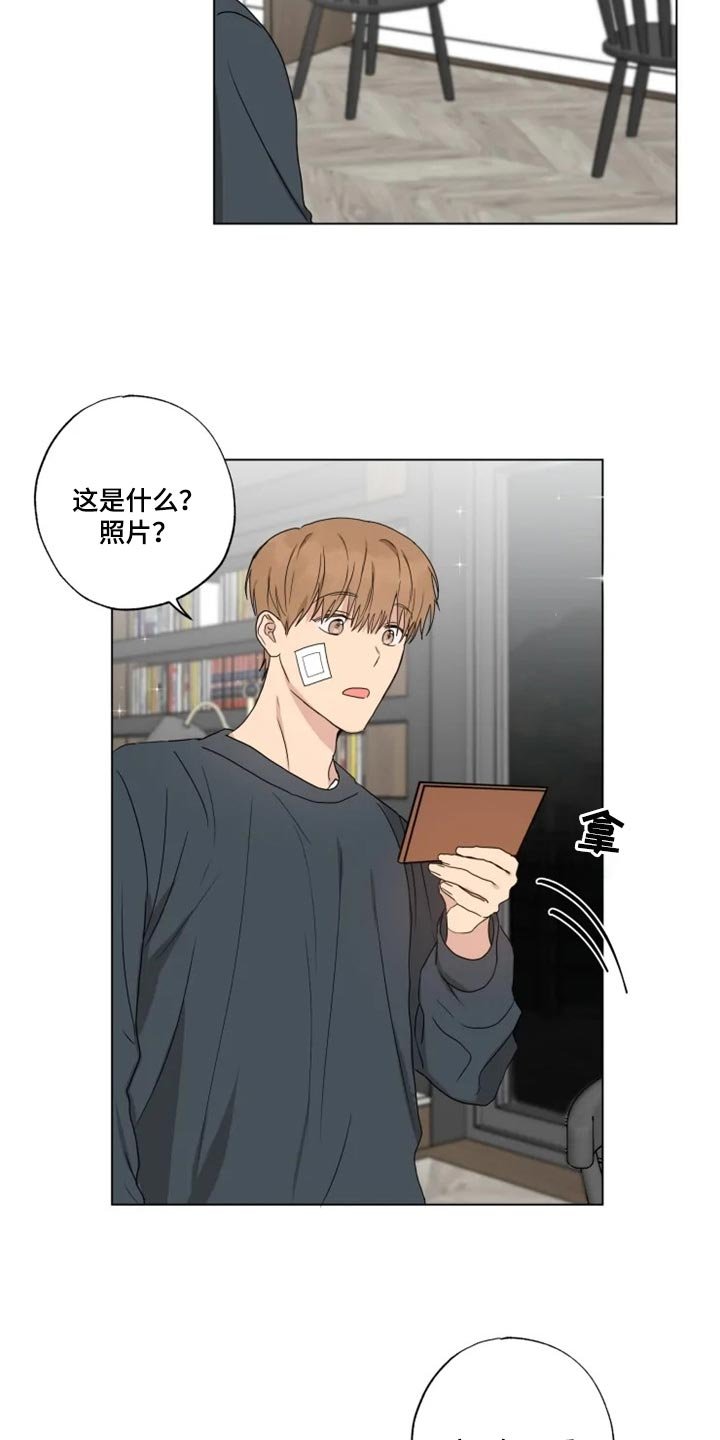 第19章：信息材料