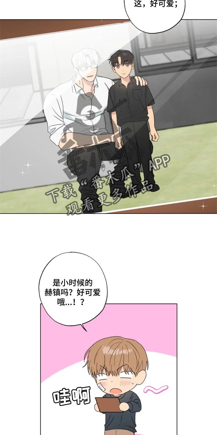 第19章：信息材料