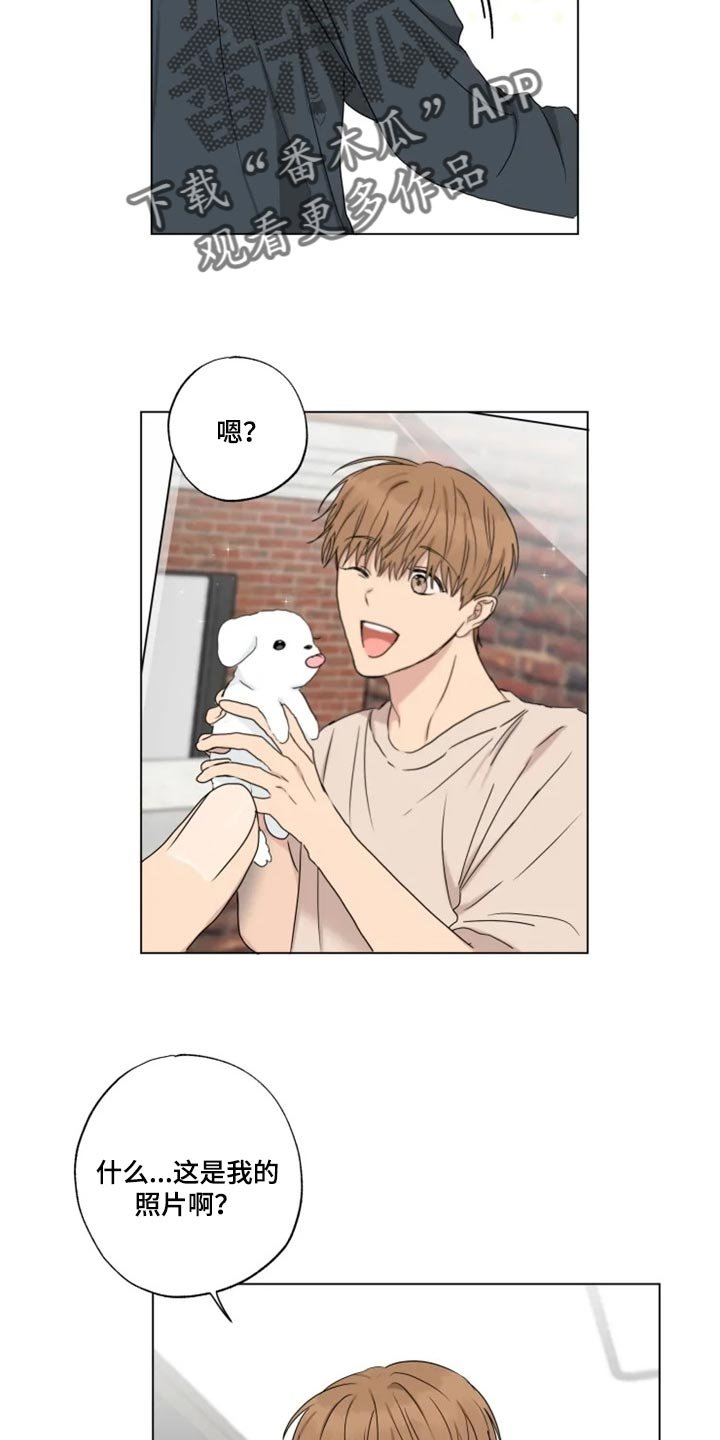 第19章：信息材料