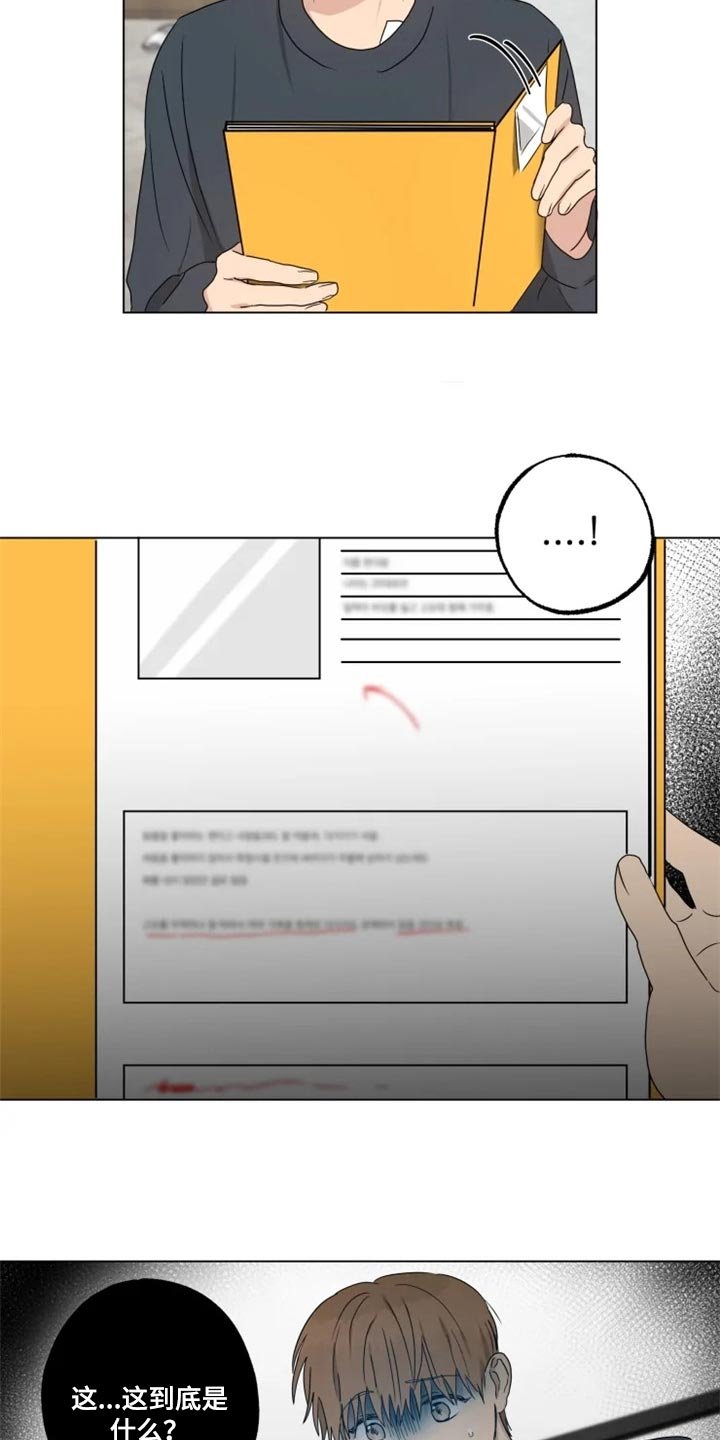 第19章：信息材料