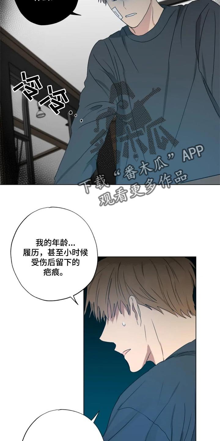 第19章：信息材料