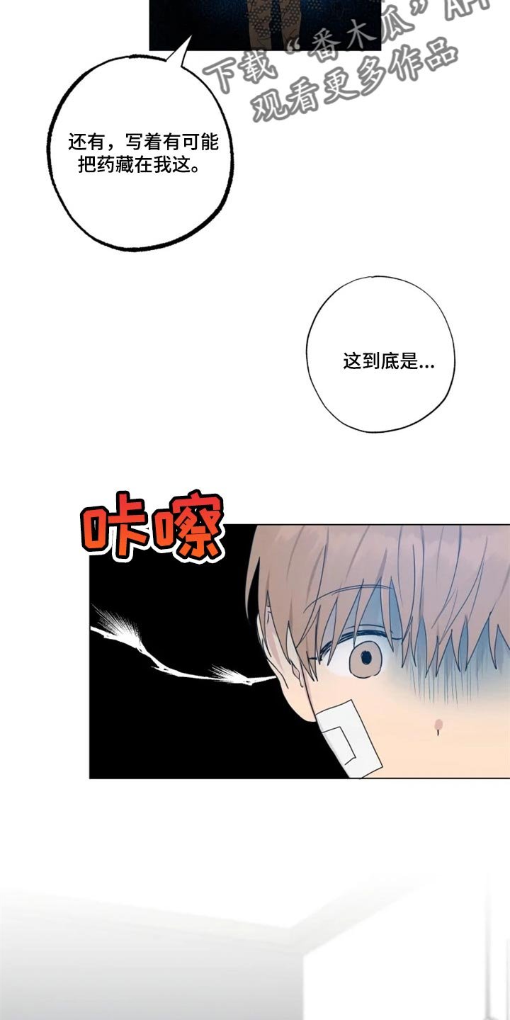 第19章：信息材料