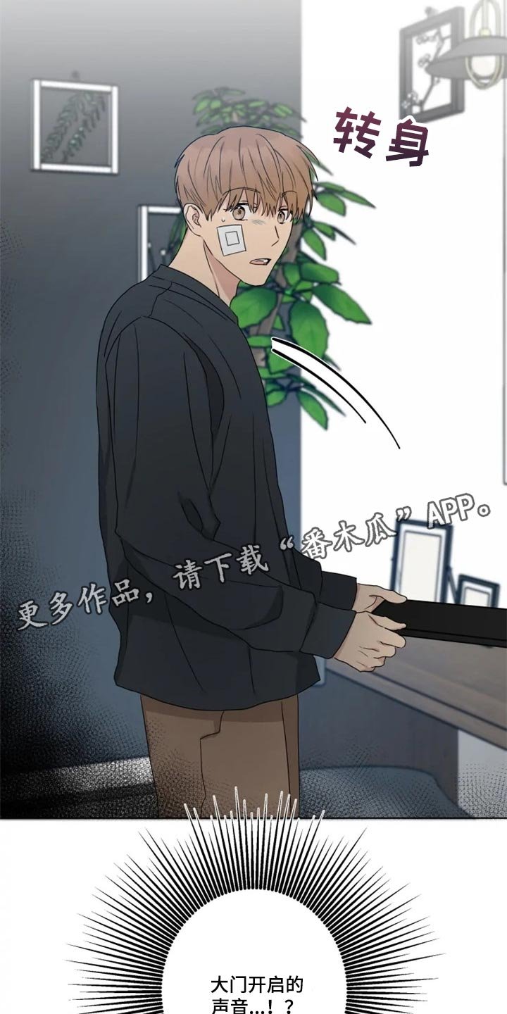 第19章：信息材料