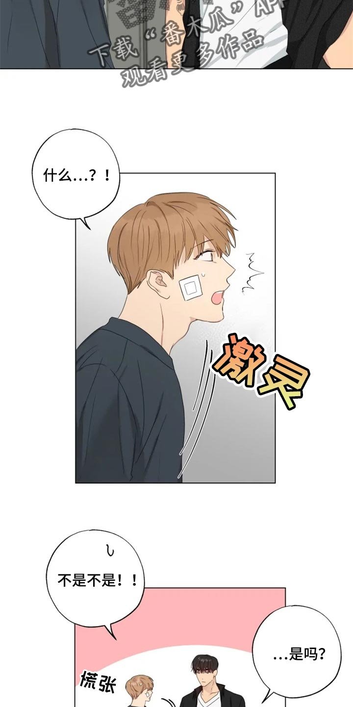 第20章：消沉