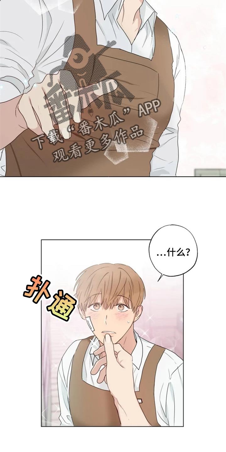 第21章：你看我怎么样