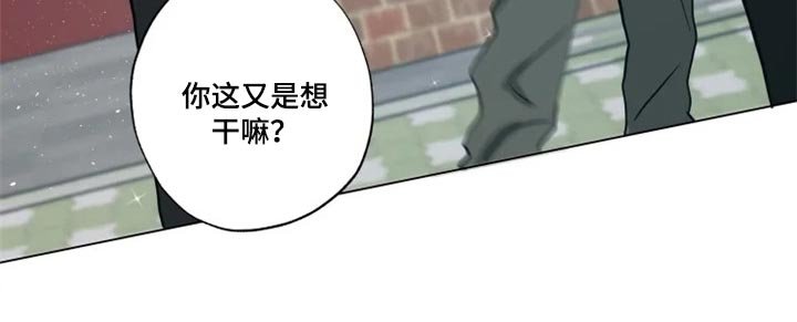 第26章：无所谓