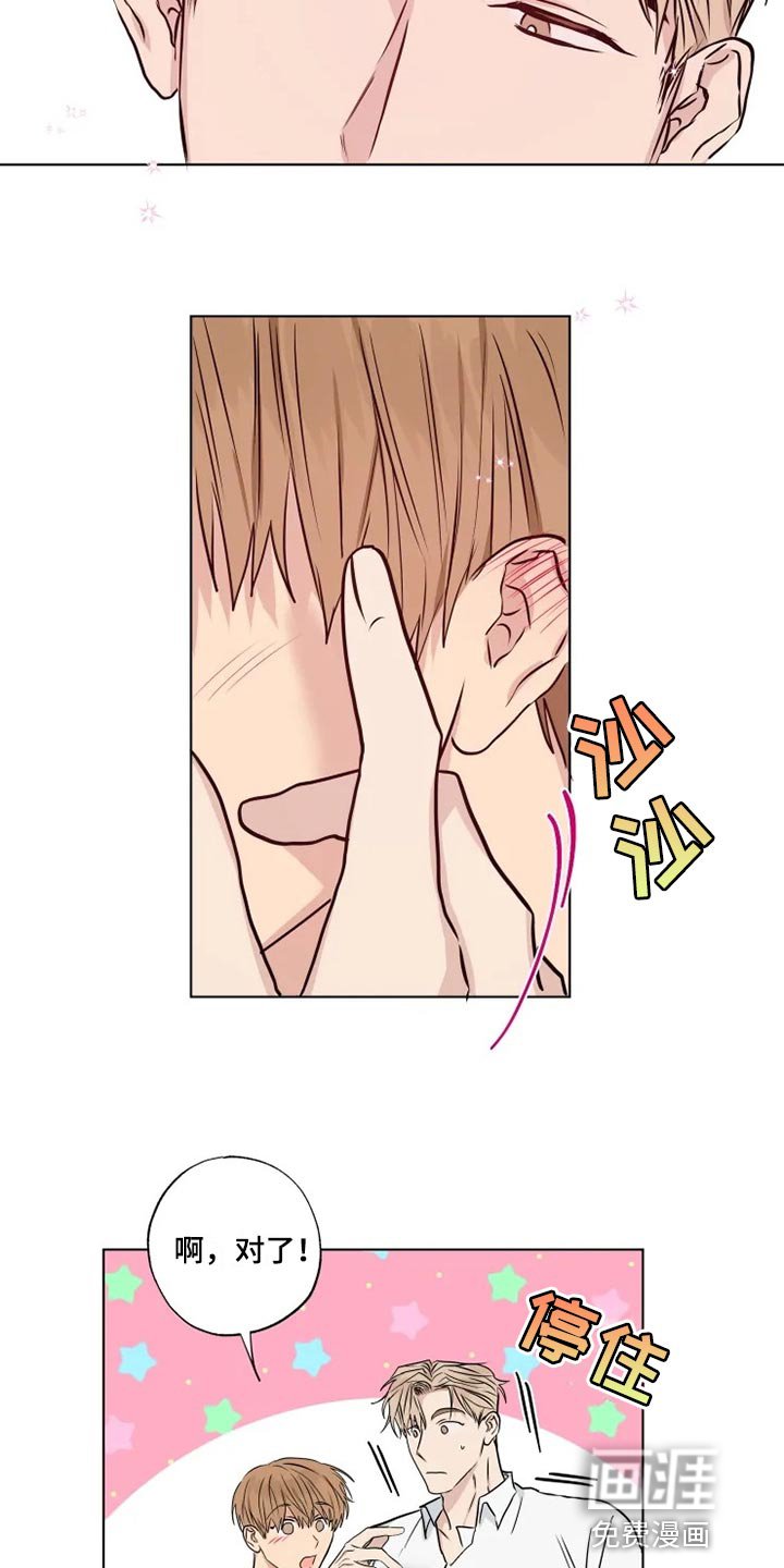 第30章：暴露漏洞