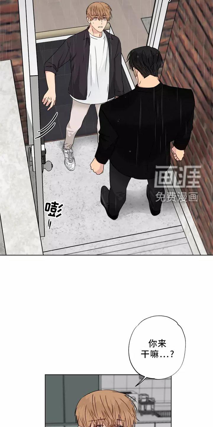 第37章：质问