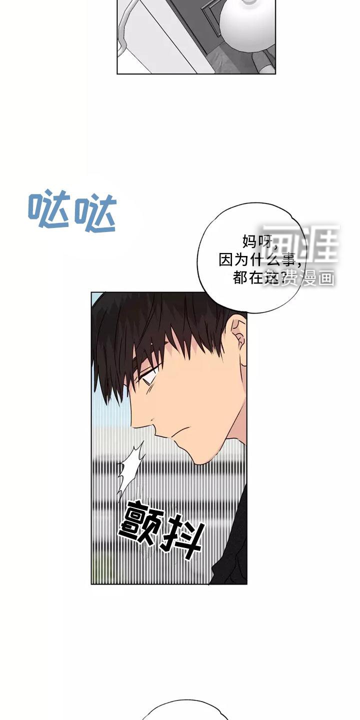 第38章：顺从