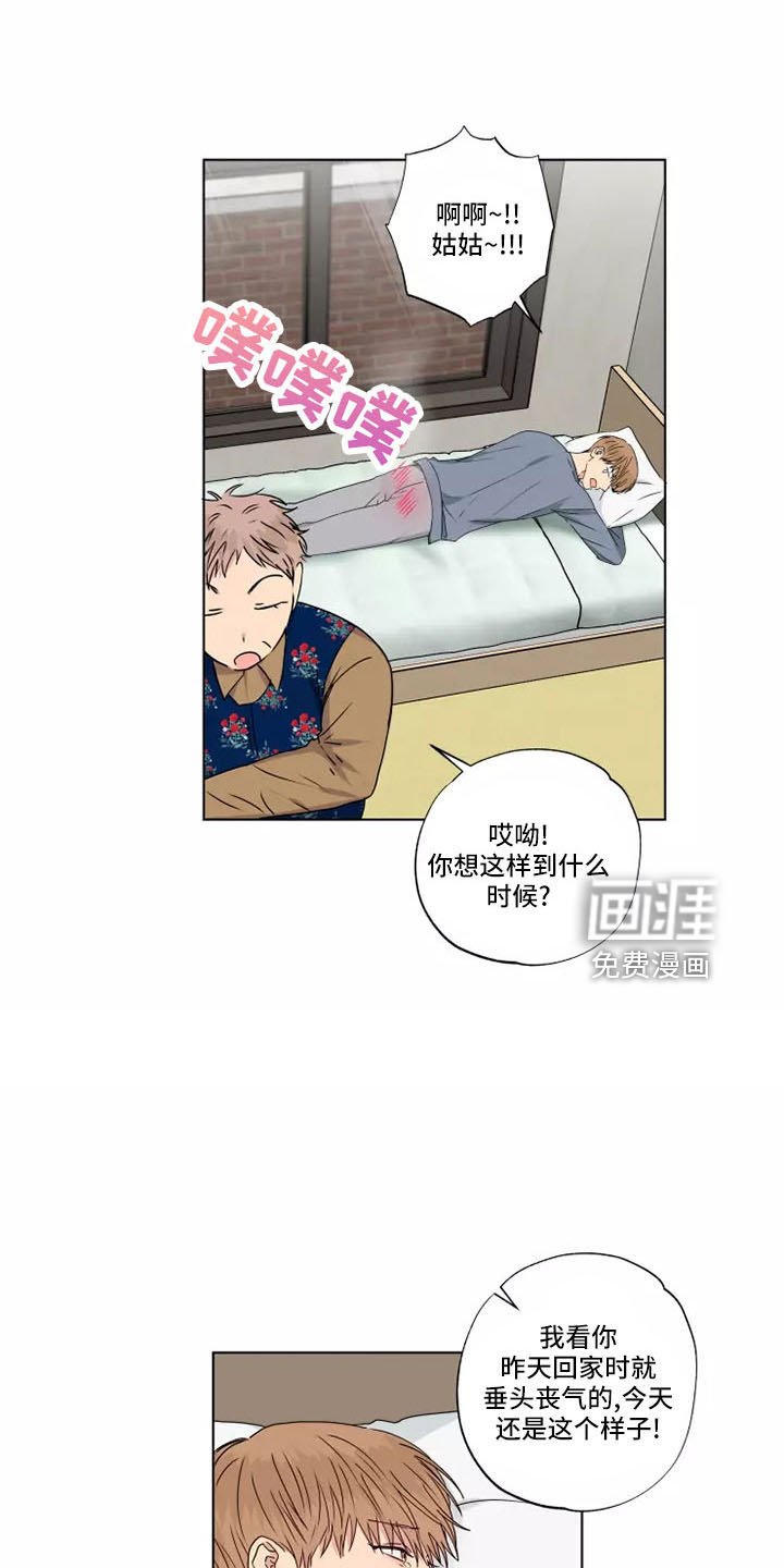 第42章：赶紧和解吧