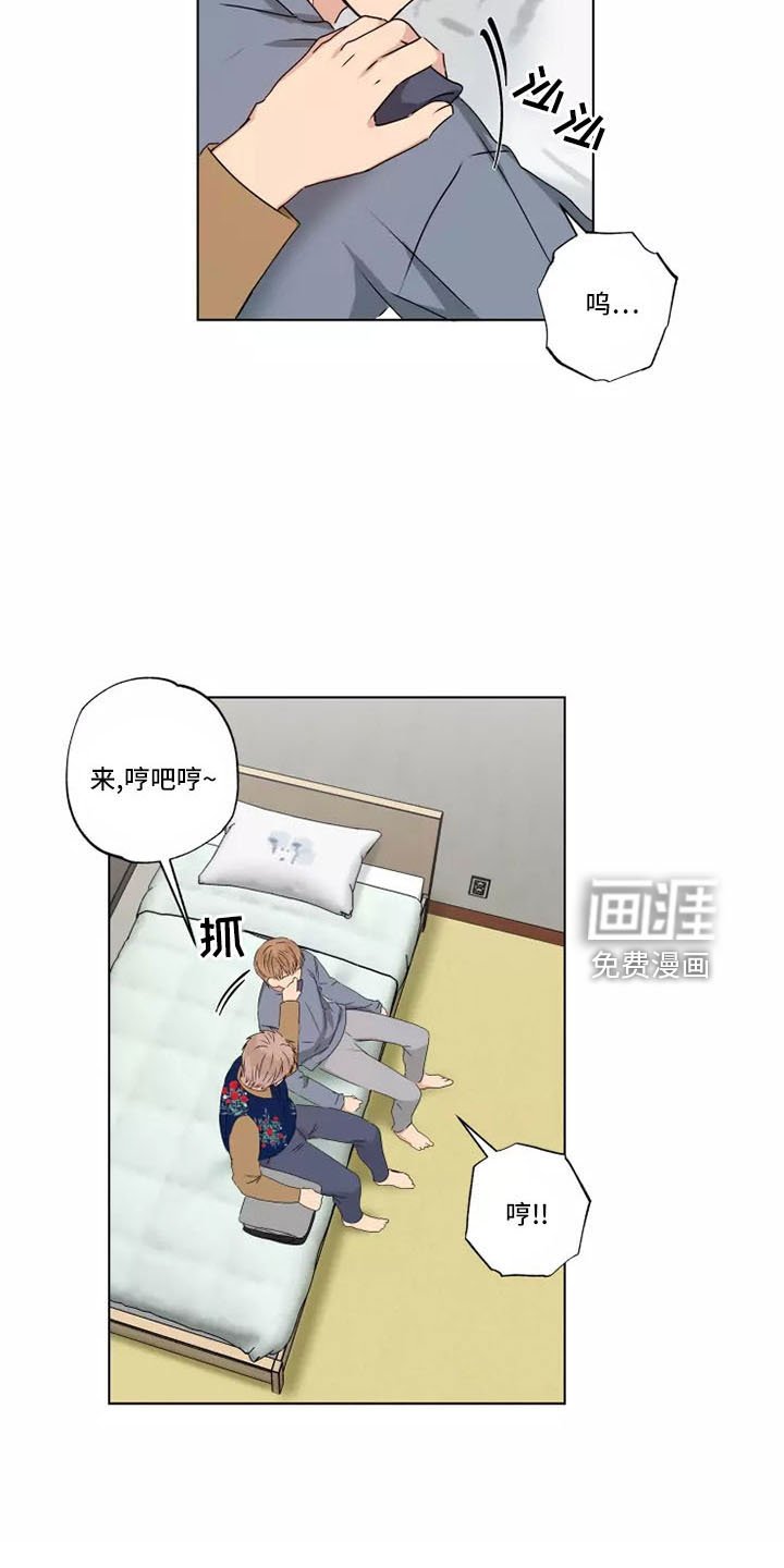 第42章：赶紧和解吧