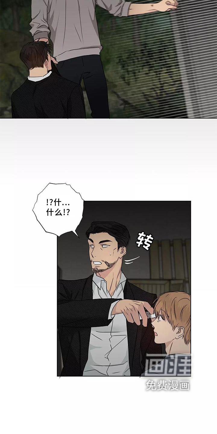 第44章：搭救