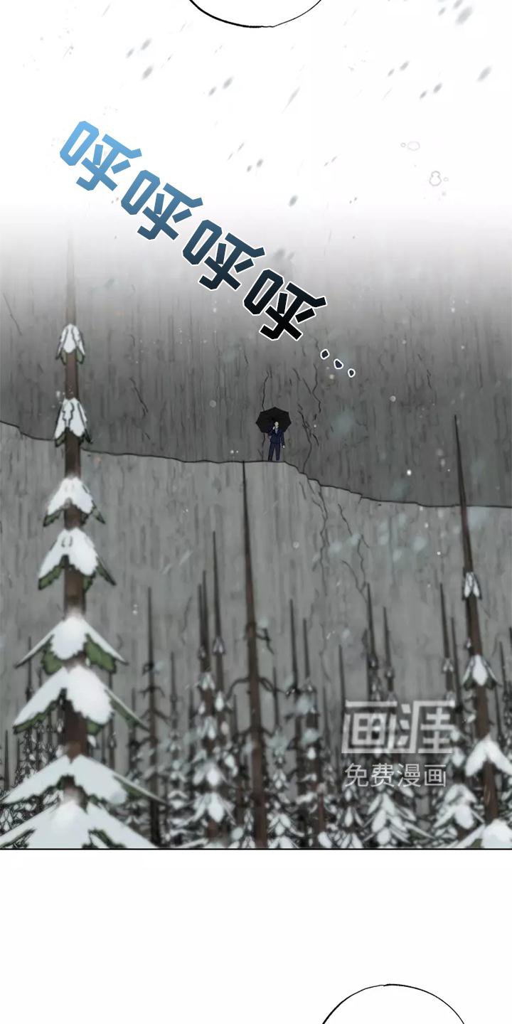 第45章：老熟人