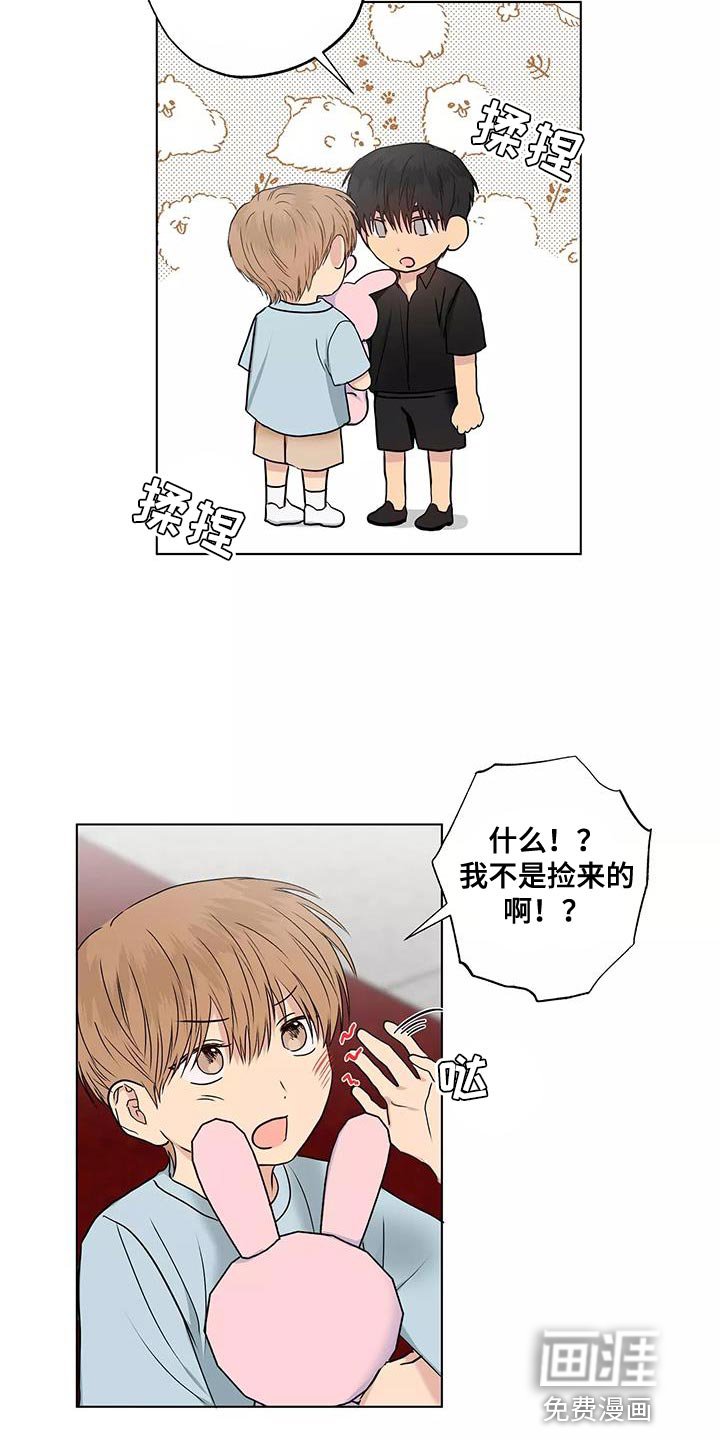 第51章：奇怪的家伙
