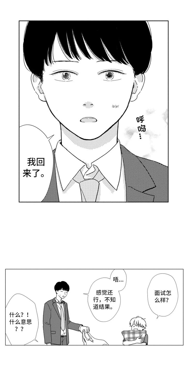 第12章：面试通过