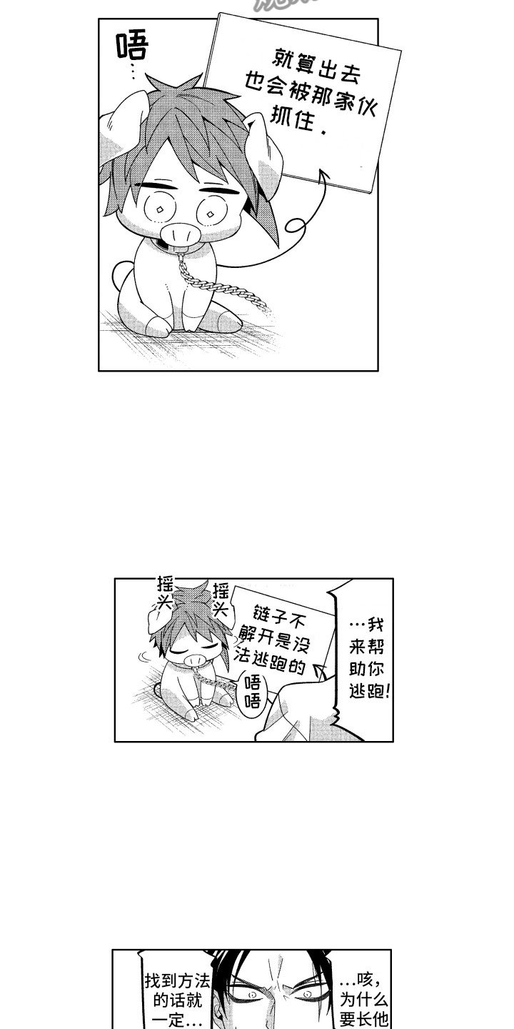 第20章：喜欢的人